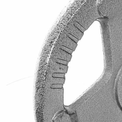 Disco De Pesas Estándar Hierro K6 2.5 Kg