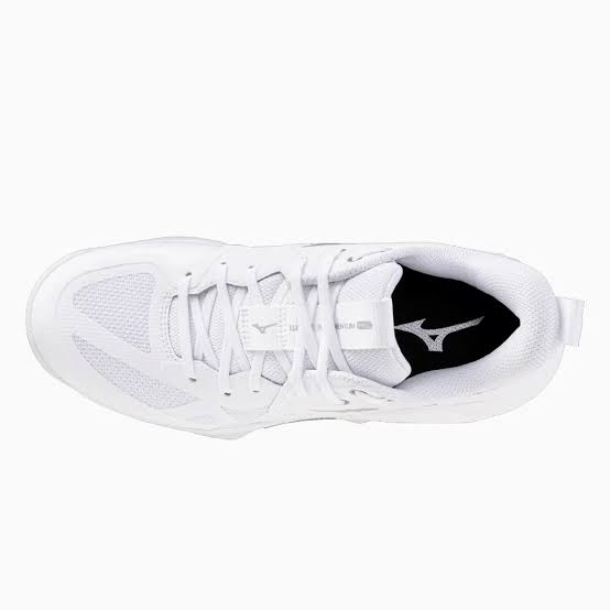 Zapato Voleibol Mujer Mizuno Wave Momentum Pro (BLANCO Y PLATEADO)